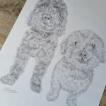 Detail of an A3 pet portrait with two dogs